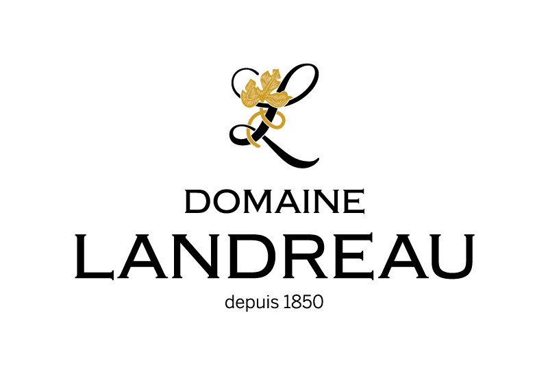 logo-DL-simple-WEB logo-DL-simple-WEB